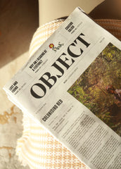 Issue 3.1